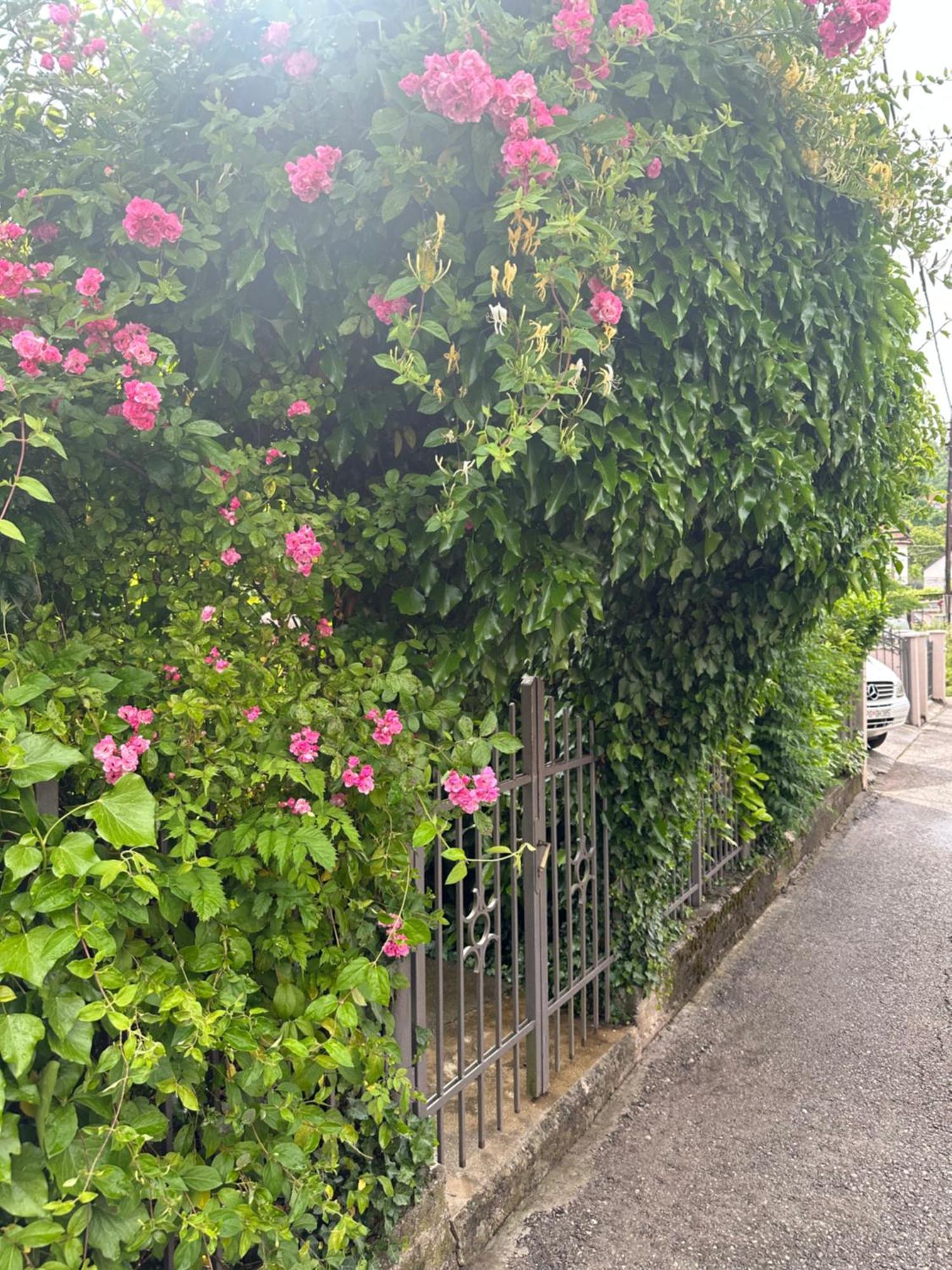 Apartman Lili Cetinje Esterno foto