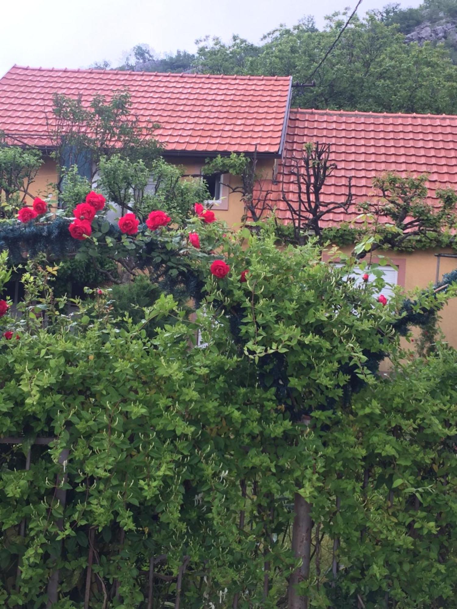 Apartman Lili Cetinje Esterno foto