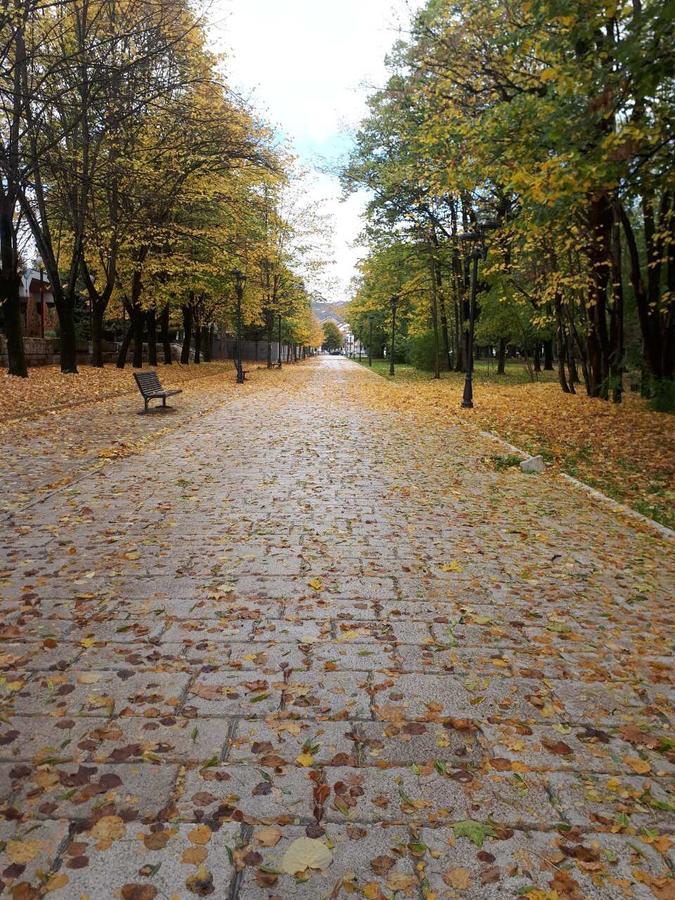 Apartman Lili Cetinje Esterno foto